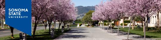 LinkedIn Header 2026 - 5