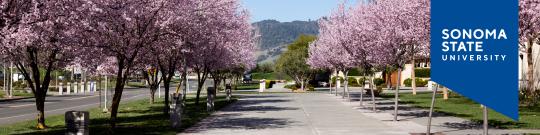 LinkedIn Header 2026 - 5