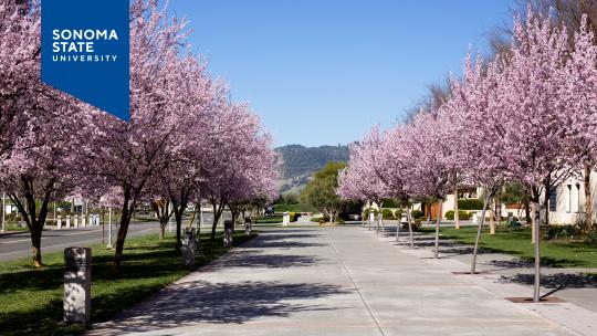 Background Spring 2026 - 8