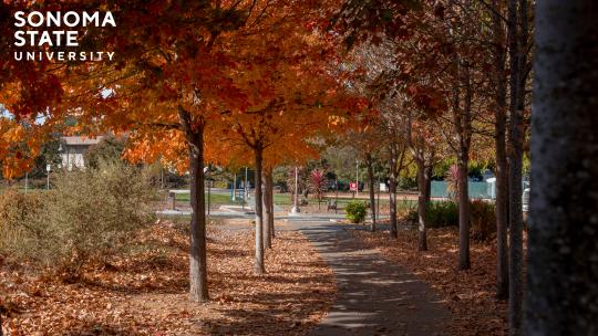 Background Spring 2026 - 21