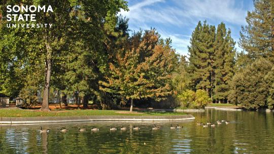 Background Spring 2026 - 26